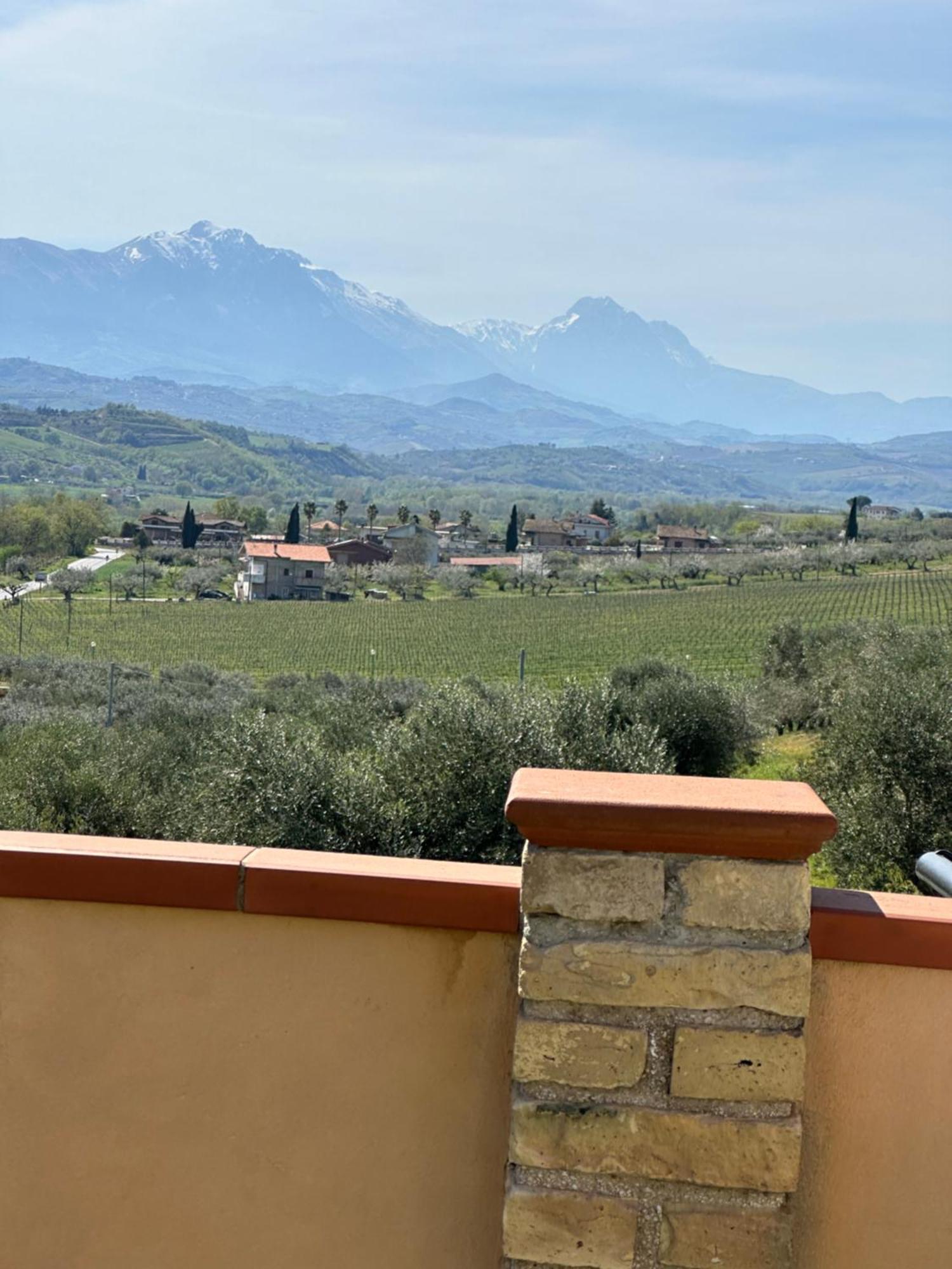 Il Podere Degli Asinelli Читта-Сант'Анджело Екстер'єр фото