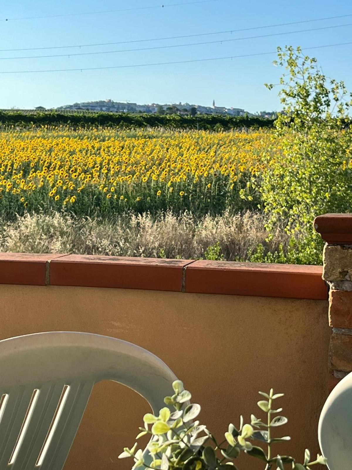 Il Podere Degli Asinelli Читта-Сант'Анджело Екстер'єр фото